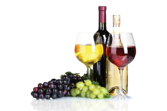 Wine & Spumanti